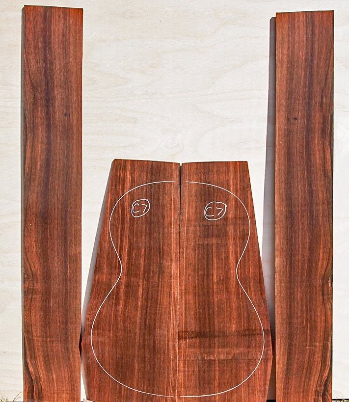 Brazilian rosewood vs Indian rosewood? Page 9 Delcamp Classical